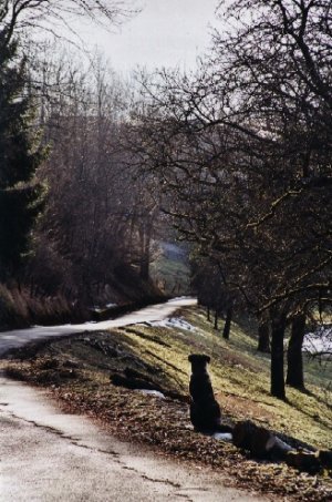 On the road