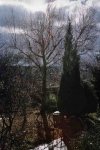 tincelle1