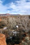 USA South-West