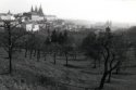 from convent