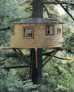 Treehouse workshop Inc.
