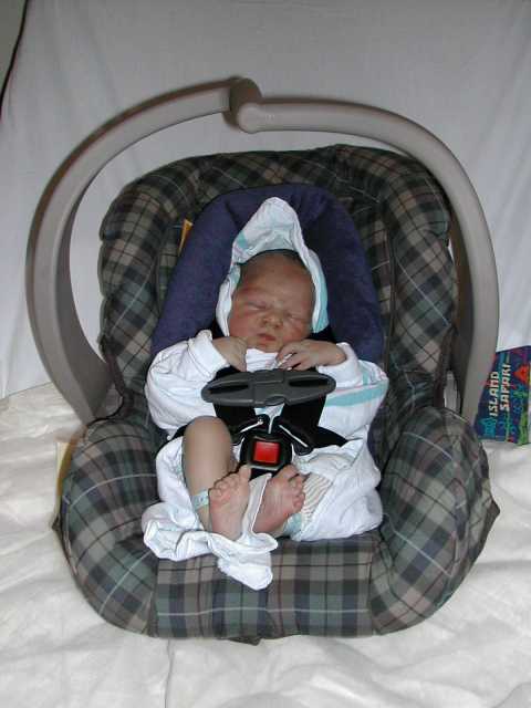 All buckled in and ready to go.