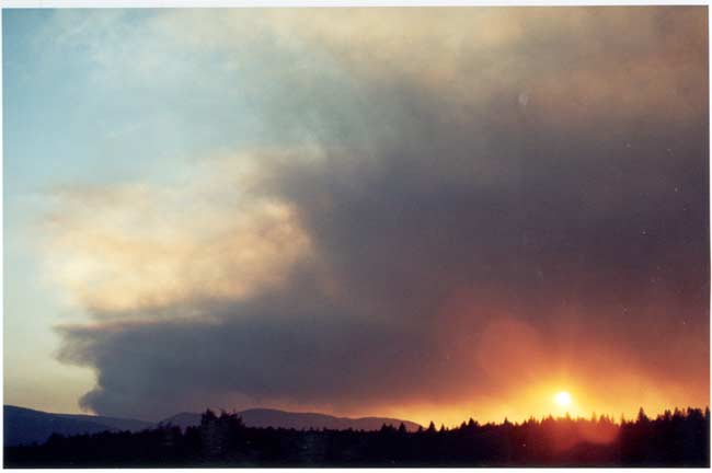The fire. Pretty scary!