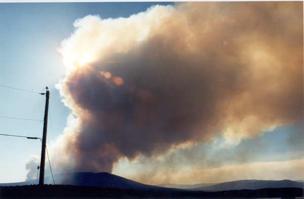 The fire. Pretty scary!