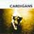 A Tribute to the Cardigans - other bands remakes of eleven of the Cardigans songs. (Tribute Records)