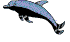Image of dolphin_swims.gif
