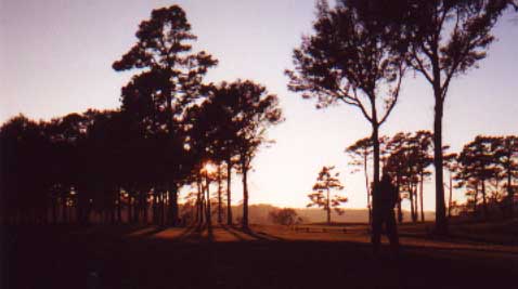 Sun sets on the final tee shot