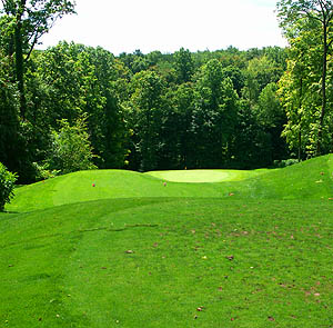 Tree Links #14 courtesy of Scott K's unwavering devotion to digital photography