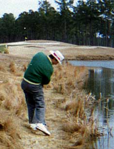 I would like to think that shot drew right in toward the pin