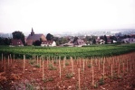 Eibingen Church, Copyright: Milson Macleod, August 1998