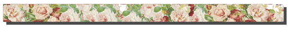 stephbar.gif (19287 bytes)