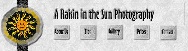 Navigation Bar