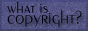 What Is Copyright? 