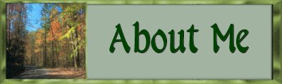 About Me Banner