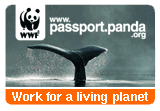 Click Here To Save Wildlife