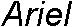 Ariel - Italic