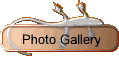 Photo Gallery