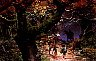 nasmith04.jpg