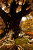nasmith08.jpg