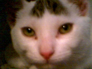 Angel my arse..here he is thinking of a evil plan to rule the world j/k