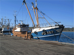 Boats at the Harbour