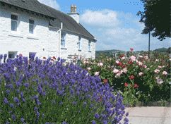 Harbour Cottages