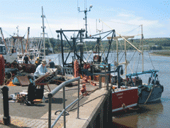 Artist at the Harbour