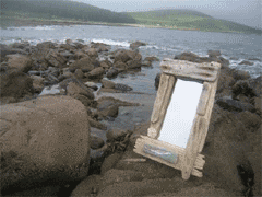 Mirror with Fish Detail
