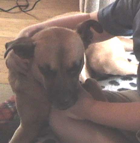 Neela!