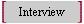 Interview 