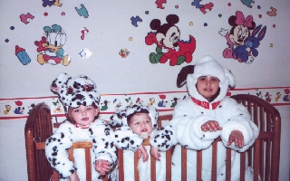 Dalmation Puppies with kid faces