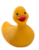 Rubber Duckie You're The One