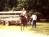 RayHorse003.jpg (77923 bytes)