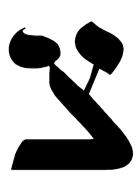 tz.gif (2623 bytes)