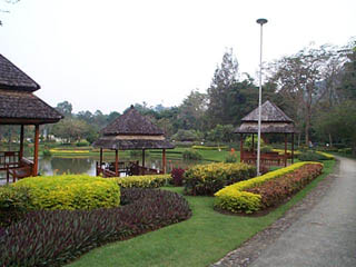DCP01721