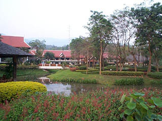 DCP01724