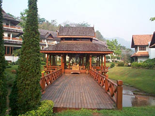 DCP01737