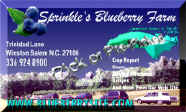 We are also busy growing BLUEBERRIES ! Click to visit our farm site.