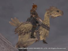Ana on chocobo