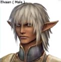 Male Elvaan