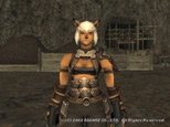 Screenshot of Nemian.