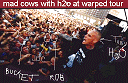 Mad Cows at last year's Warped Tour with H20