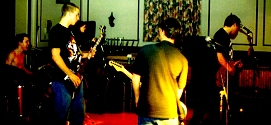 The Mad Cows