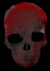 this skull is my skull.