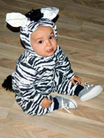 Zebra Toddler