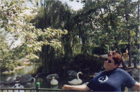 See the Lego swans!!