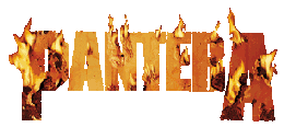 The Pantera Website