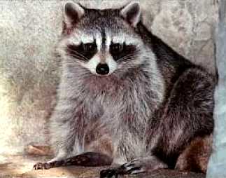 I have More hunger than Fear buddy :+)