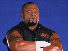 Tazz