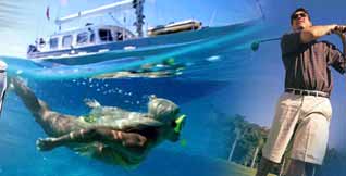 Luxury Vacations